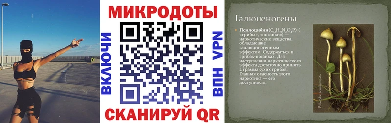 Галлюциногенные грибы Cubensis  где найти наркотики  Алупка 